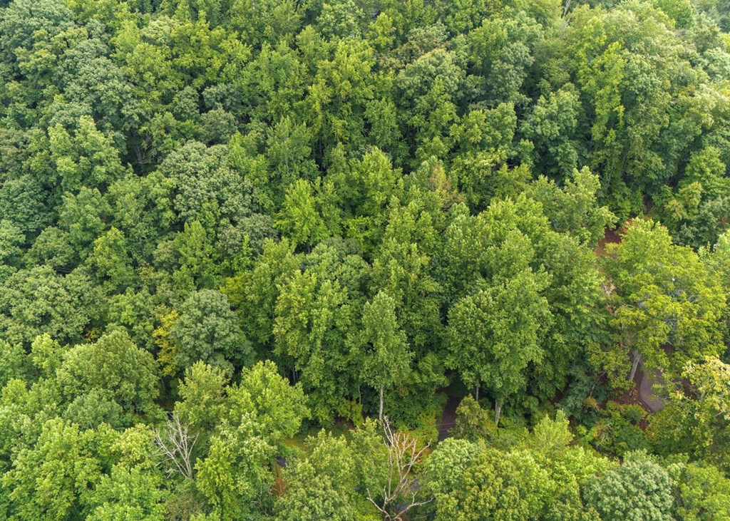 Lot 226 Young Cove Road