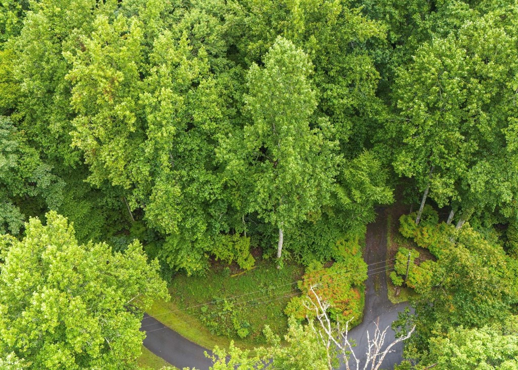 Lot 226 Young Cove Road