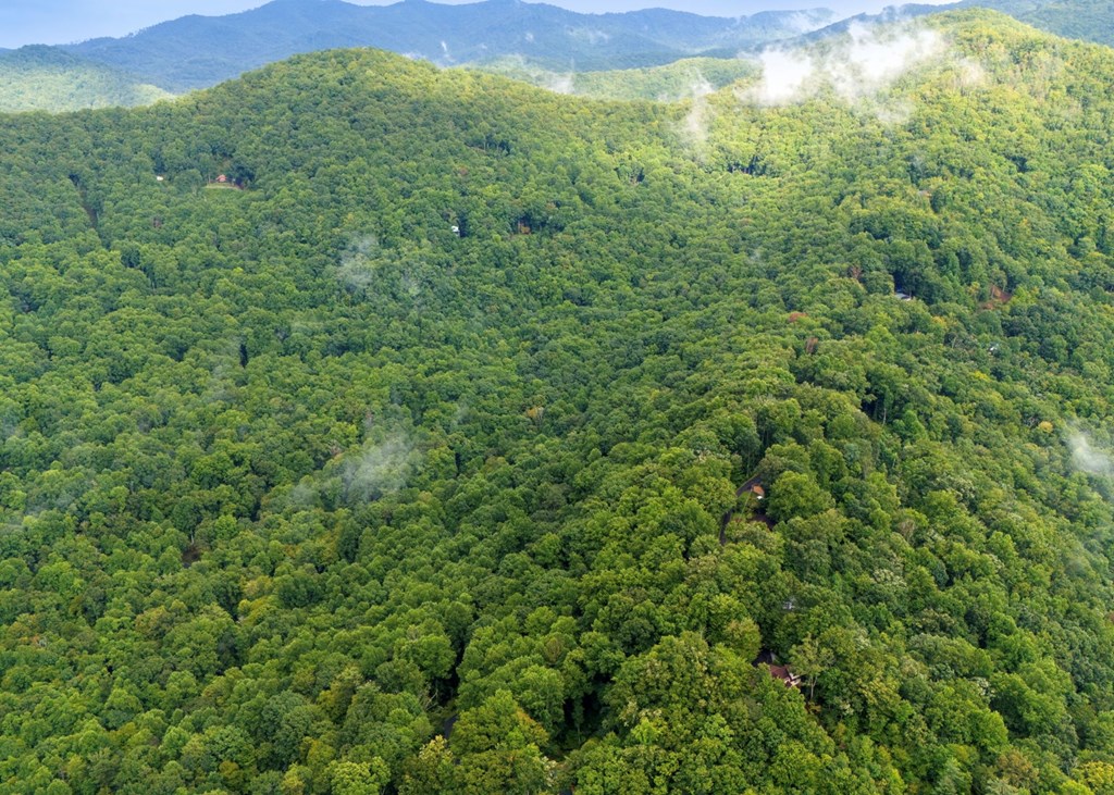 Lot 226 Young Cove Road