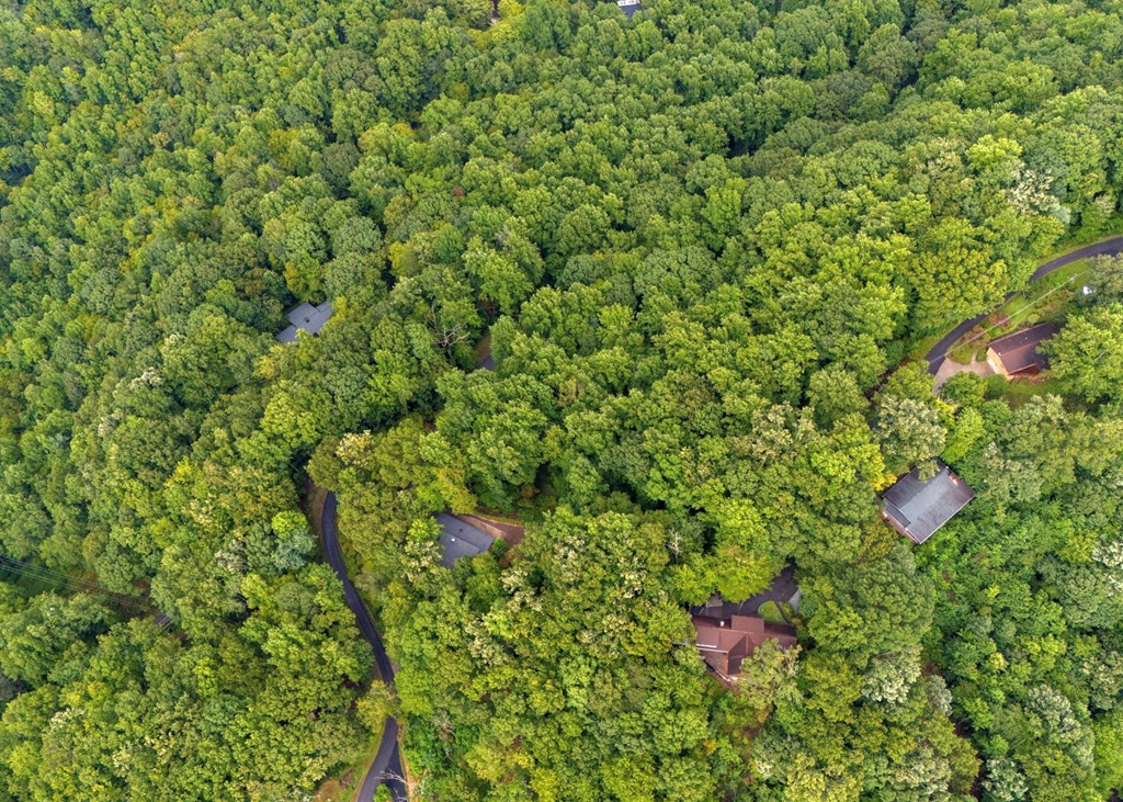 Lot 226 Young Cove Road