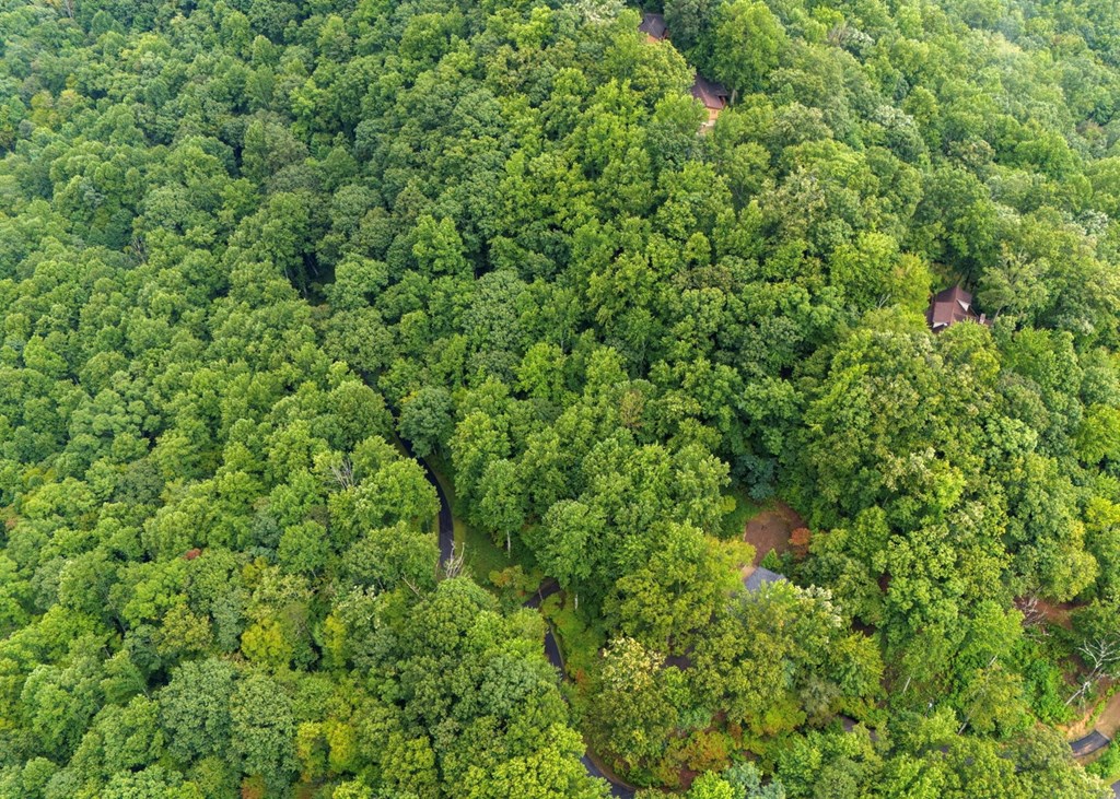 Lot 226 Young Cove Road