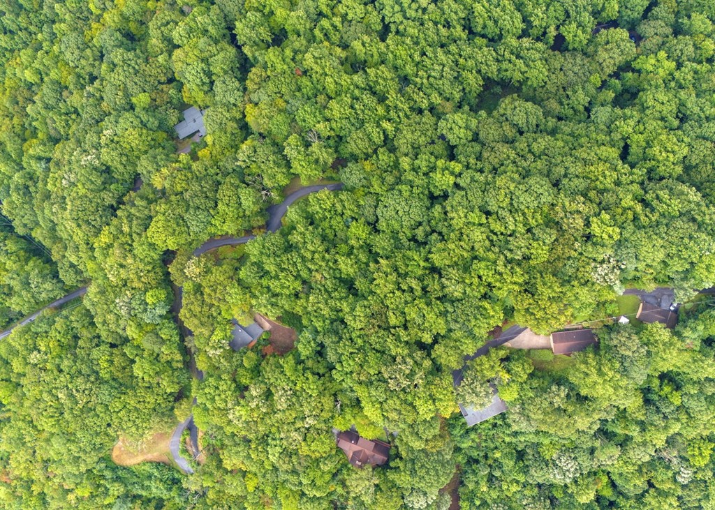 Lot 226 Young Cove Road