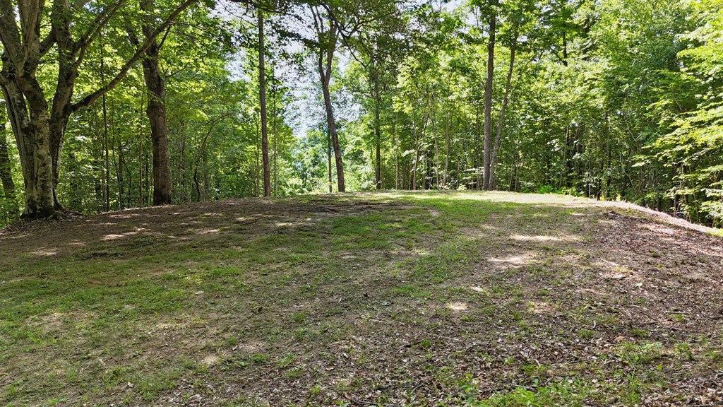 Lot 1 Christy Drive