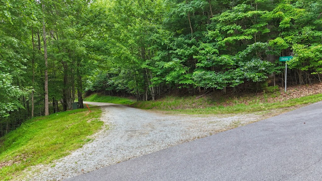 Lot 1 Christy Drive
