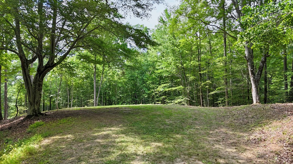 Lot 1 Christy Drive