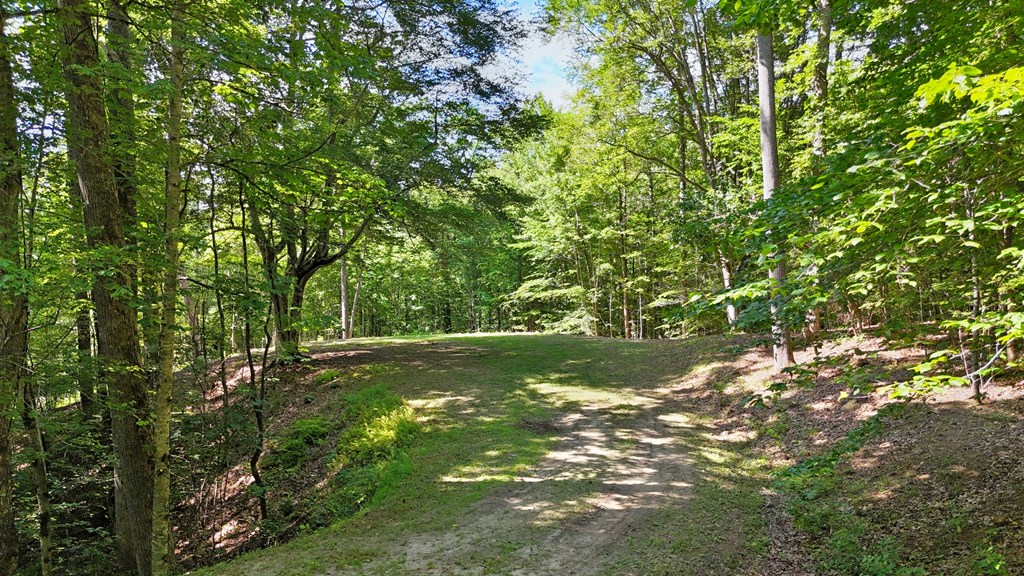 Lot 1 Christy Drive