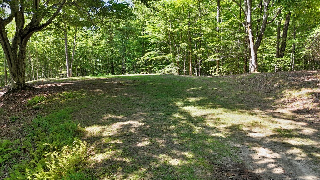 Lot 1 Christy Drive