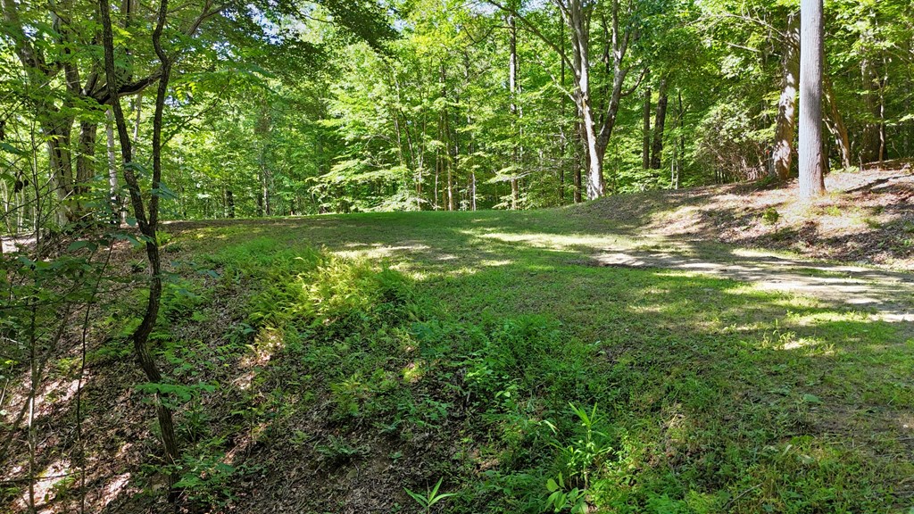 Lot 1 Christy Drive