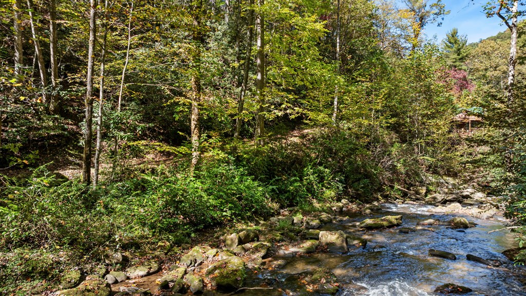 174 Upper Middle Creek Rd, Franklin