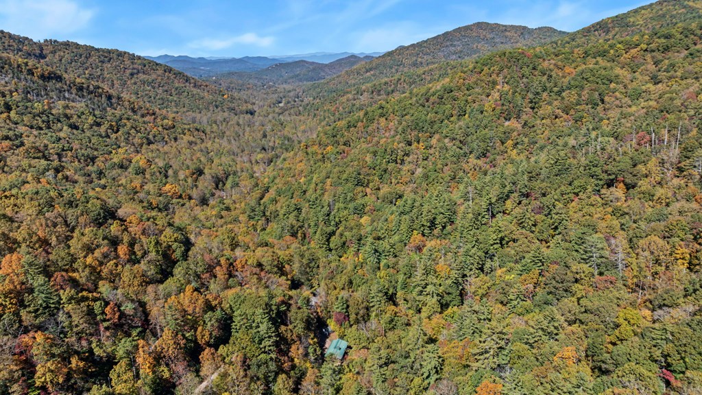 174 Upper Middle Creek Rd, Franklin