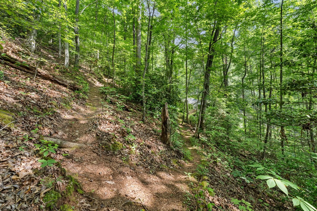 592 Snow Hill Falls Circle, Franklin