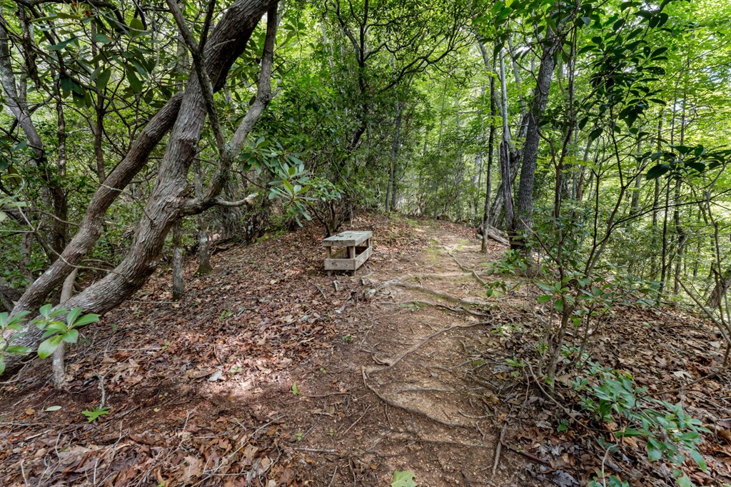 592 Snow Hill Falls Circle, Franklin