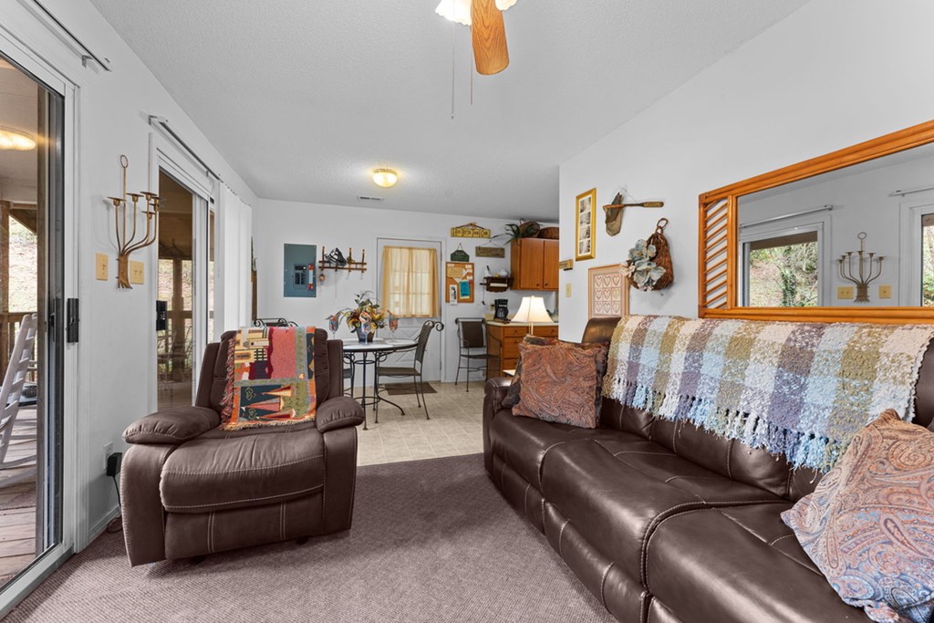 39 Woodcove Dr, Franklin