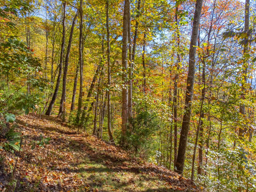 325 Garden Flats Road