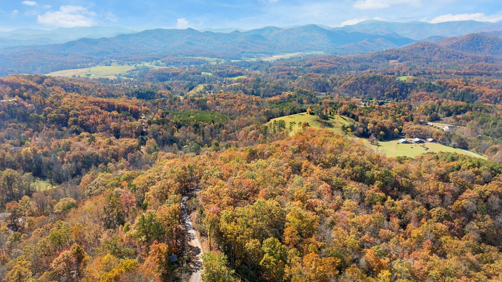 Lot 4 Piney Grove Rd