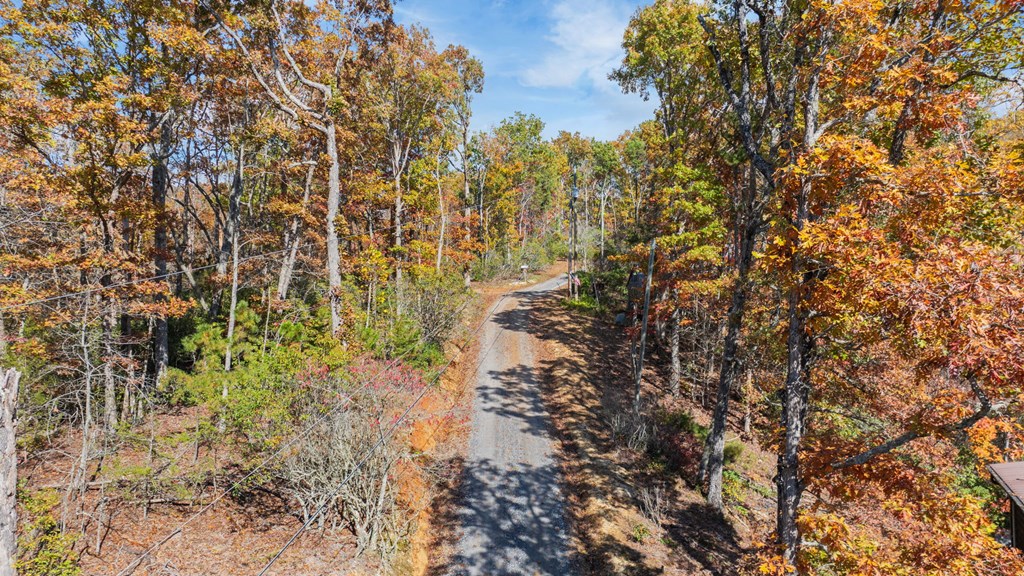 Lot 4 Piney Grove Rd