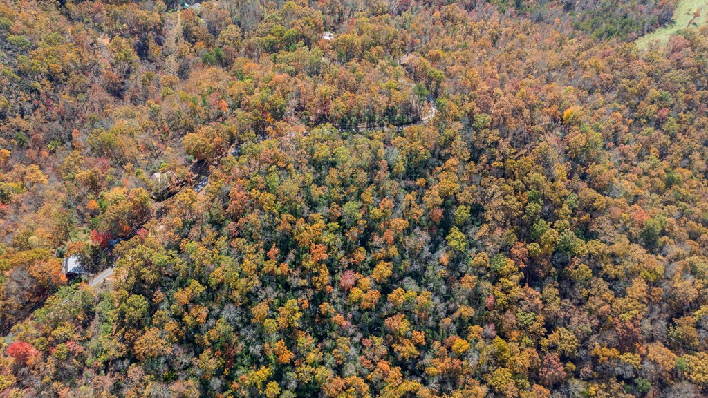 Lot 4 Piney Grove Rd