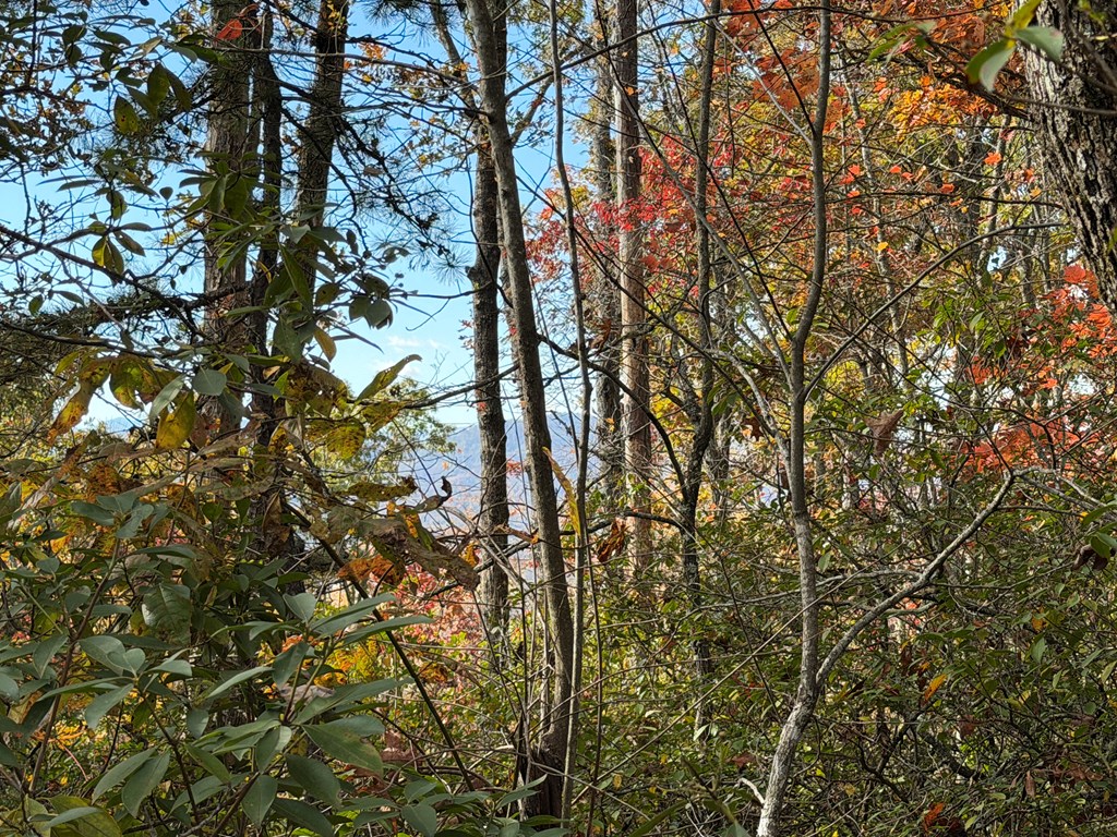 Lot 4 Piney Grove Rd