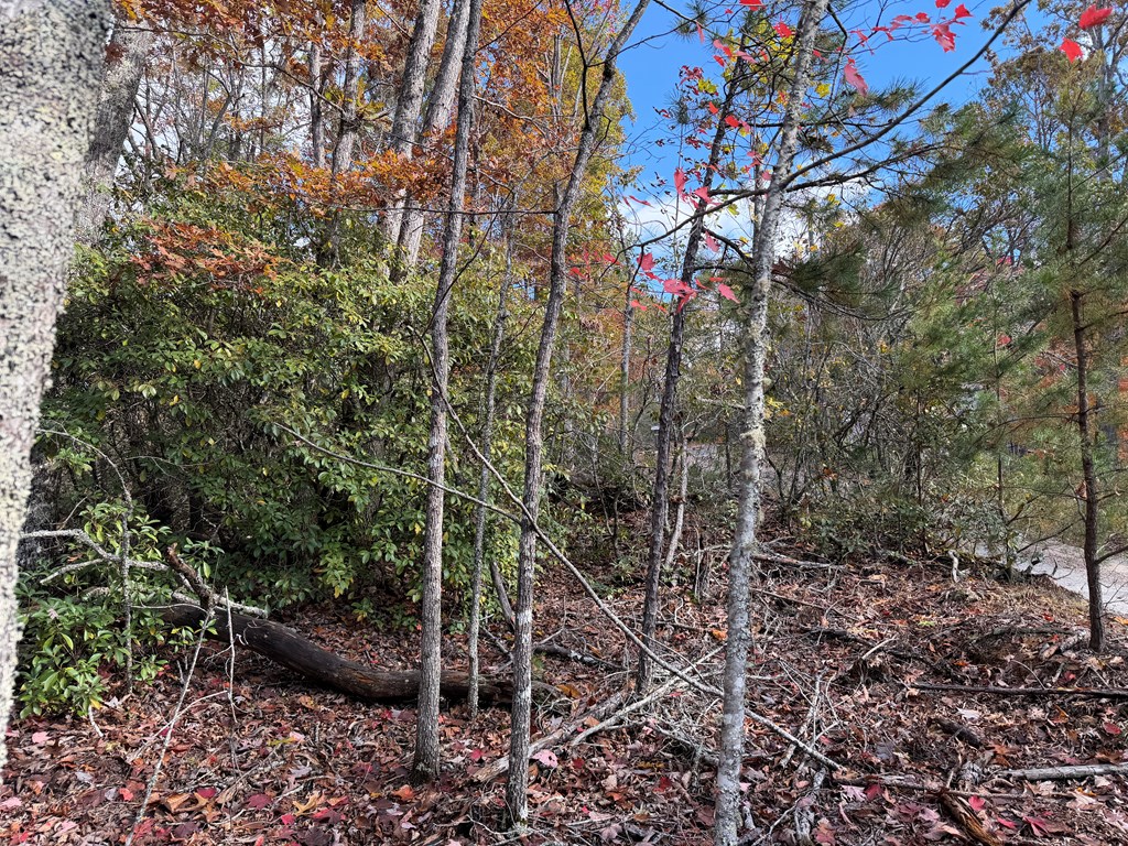 Lot 4 Piney Grove Rd