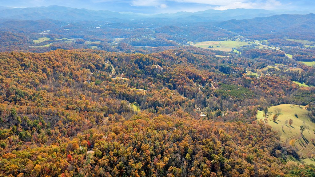 Lot 4 Piney Grove Rd