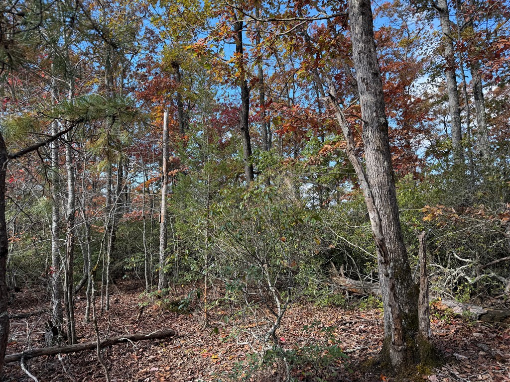 Lot 4 Piney Grove Rd