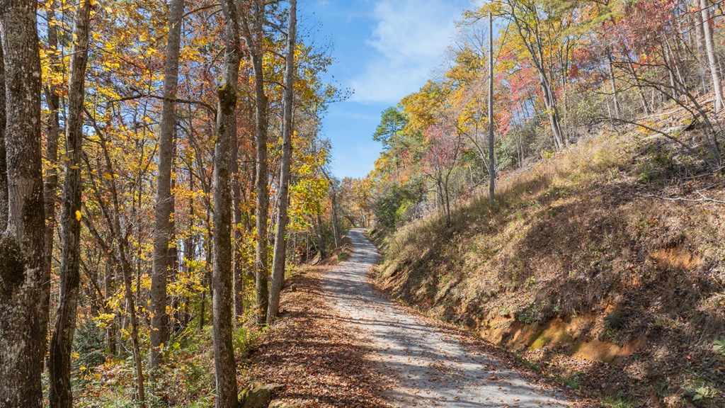 Lot 4 Piney Grove Rd