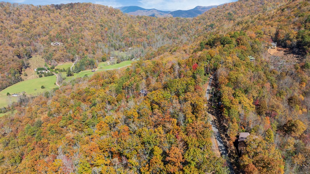 Lot 4 Piney Grove Rd