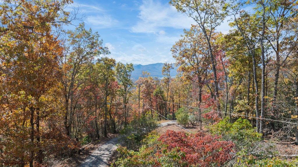 Lot 4 Piney Grove Rd