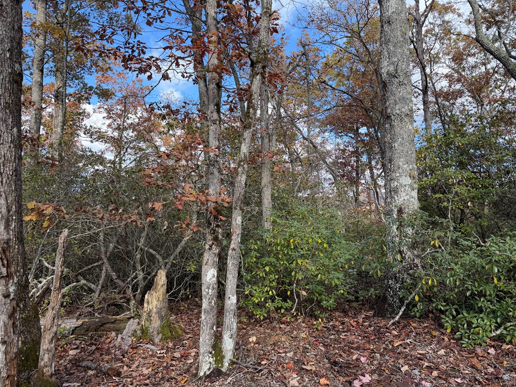 Lot 4 Piney Grove Rd