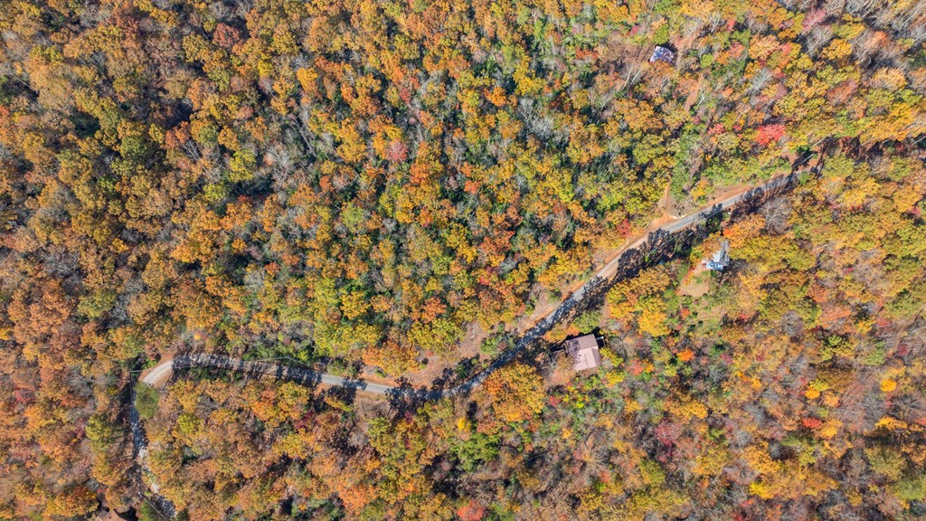 Lot 4 Piney Grove Rd