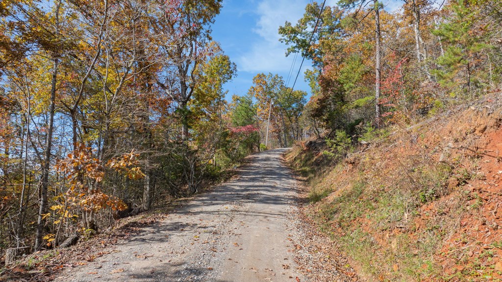 Lot 4 Piney Grove Rd