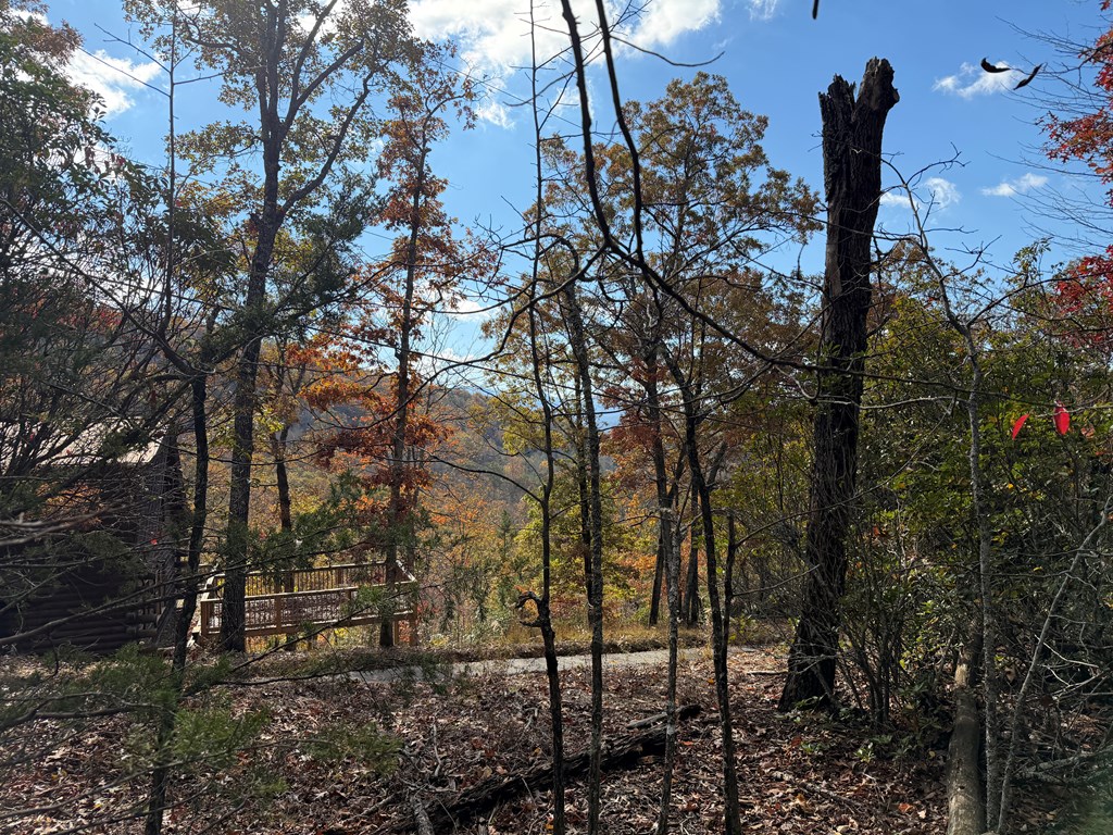 Lot 4 Piney Grove Rd