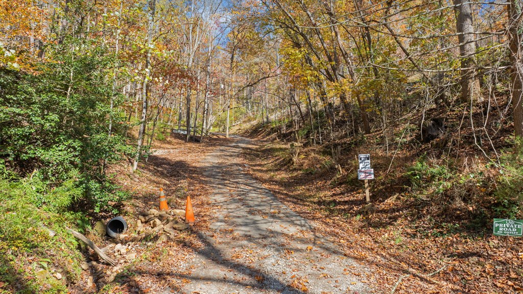 Lot 4 Piney Grove Rd