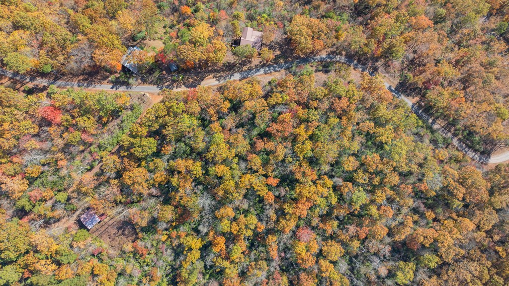 Lot 4 Piney Grove Rd