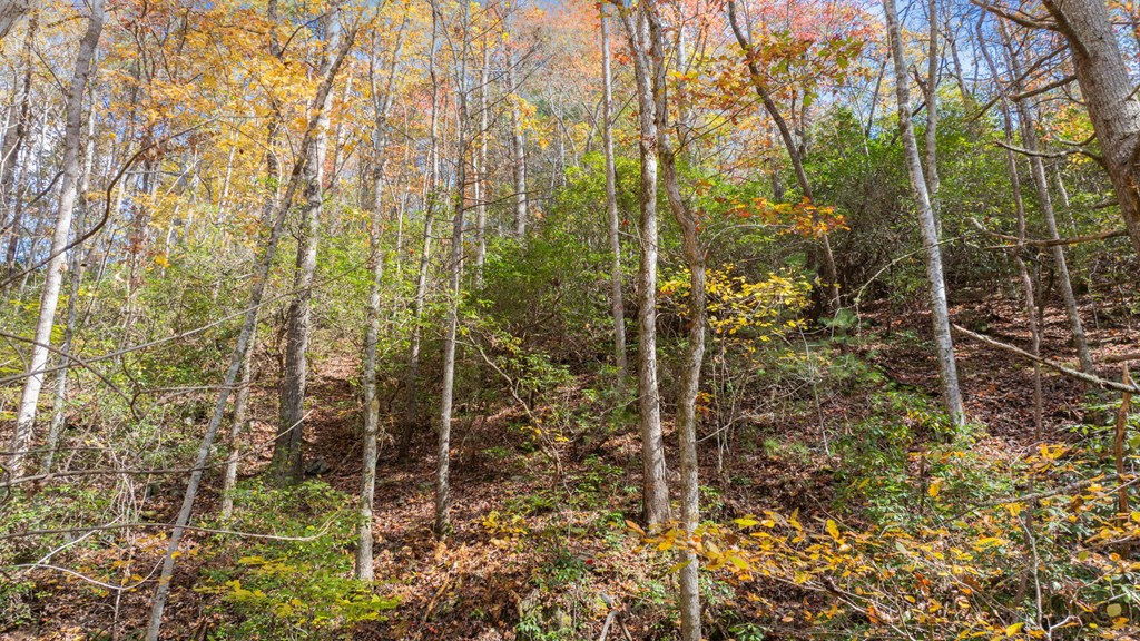 Lot 1 Hidden Acres Trail