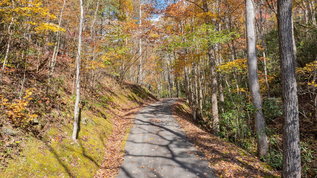 Lot 1 Hidden Acres Trail