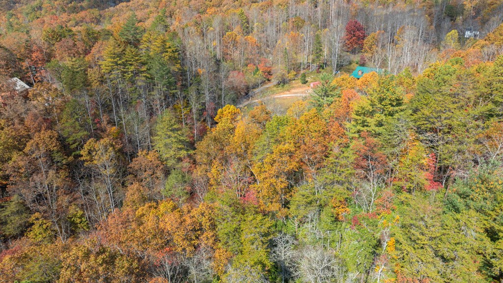 Lot 1 Hidden Acres Trail