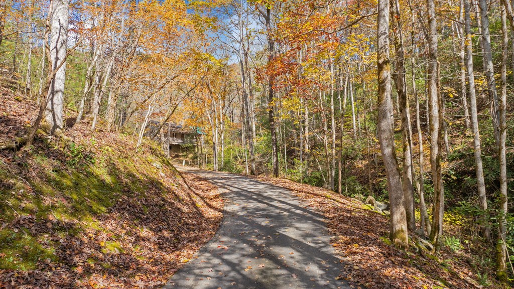 Lot 1 Hidden Acres Trail