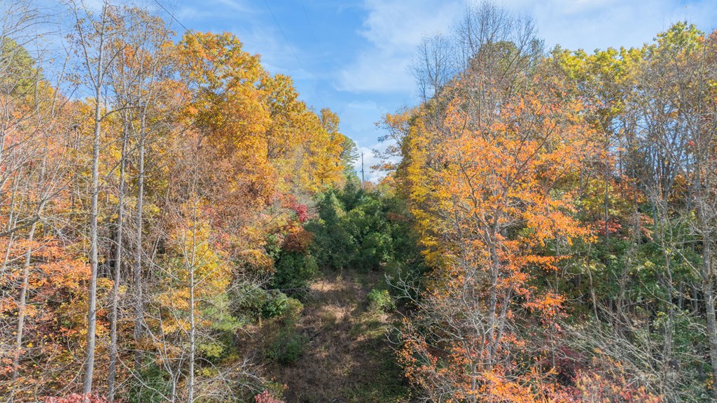 Lot 1 Hidden Acres Trail