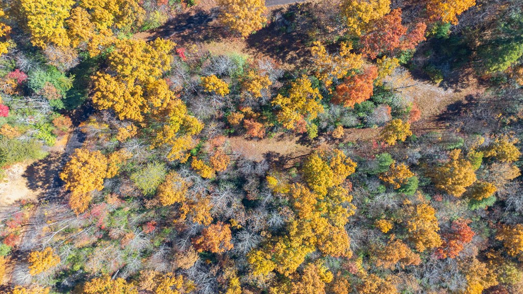 10/11 Sequoyah View Trail