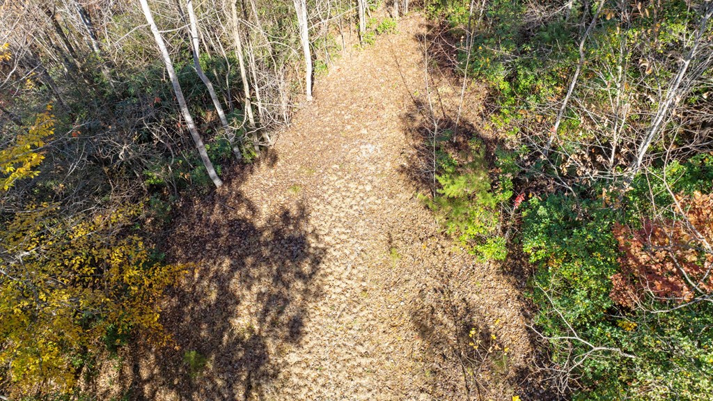 10/11 Sequoyah View Trail