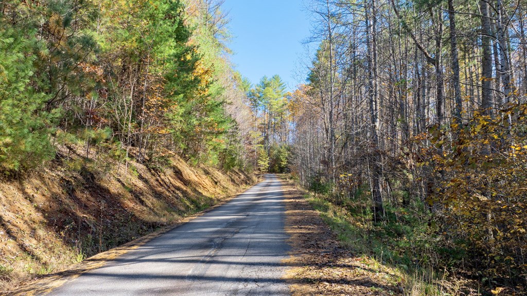 10/11 Sequoyah View Trail