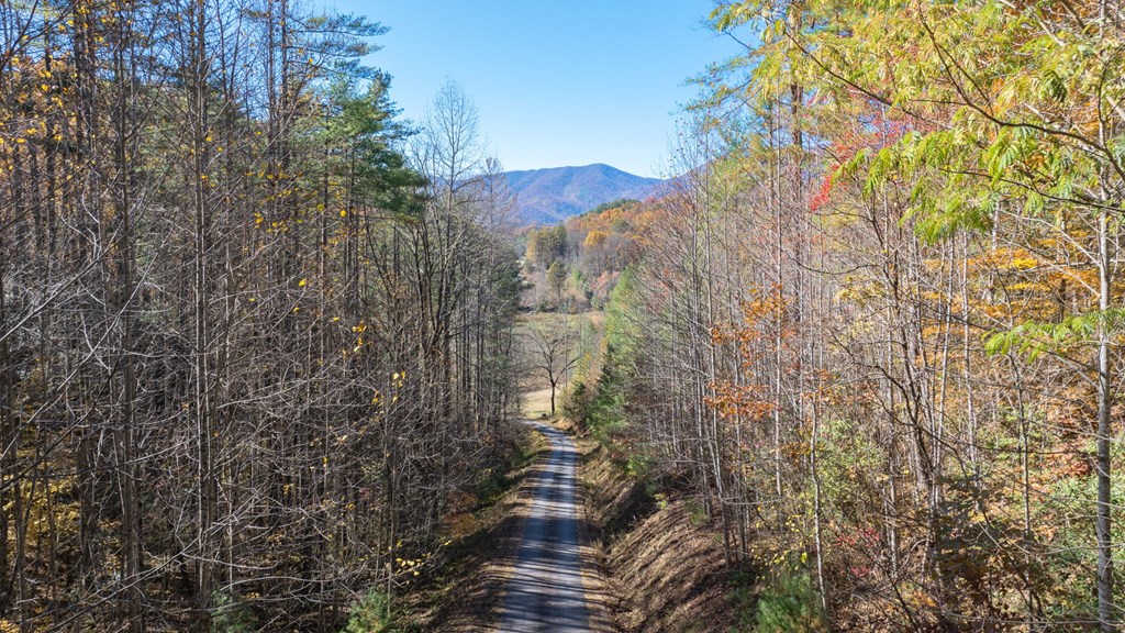 10/11 Sequoyah View Trail