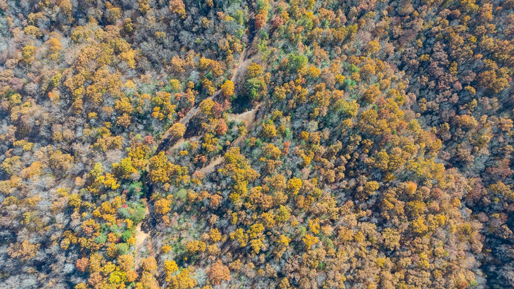 10/11 Sequoyah View Trail