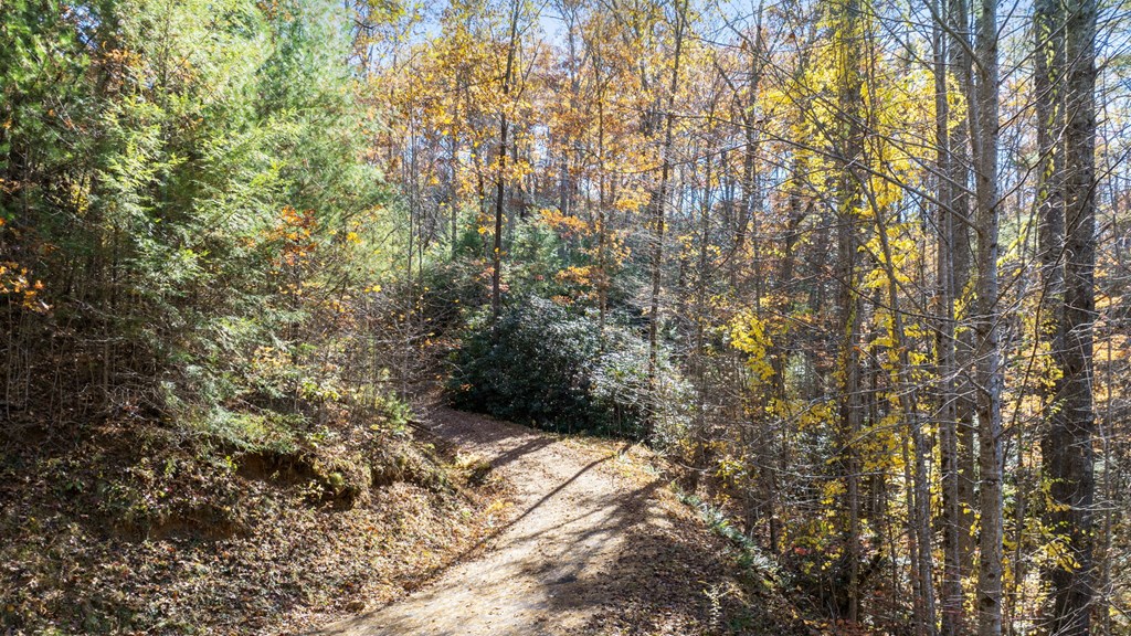 10/11 Sequoyah View Trail
