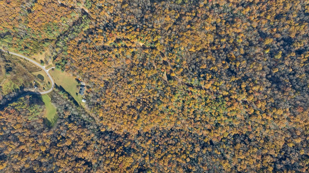 10/11 Sequoyah View Trail