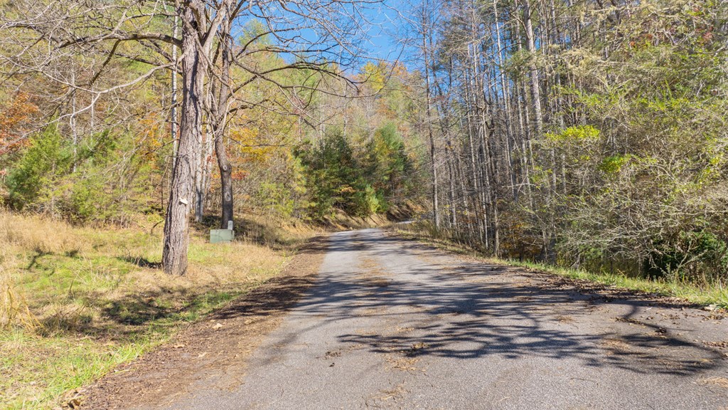 10/11 Sequoyah View Trail