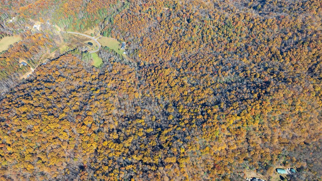 10/11 Sequoyah View Trail