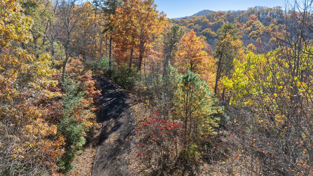 10/11 Sequoyah View Trail