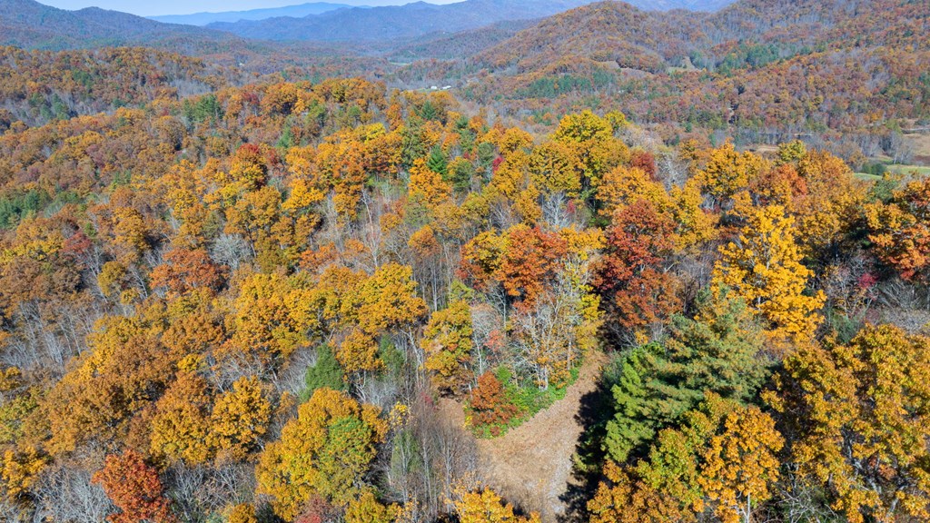 10/11 Sequoyah View Trail